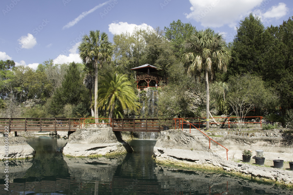 Naklejka premium Rock garden