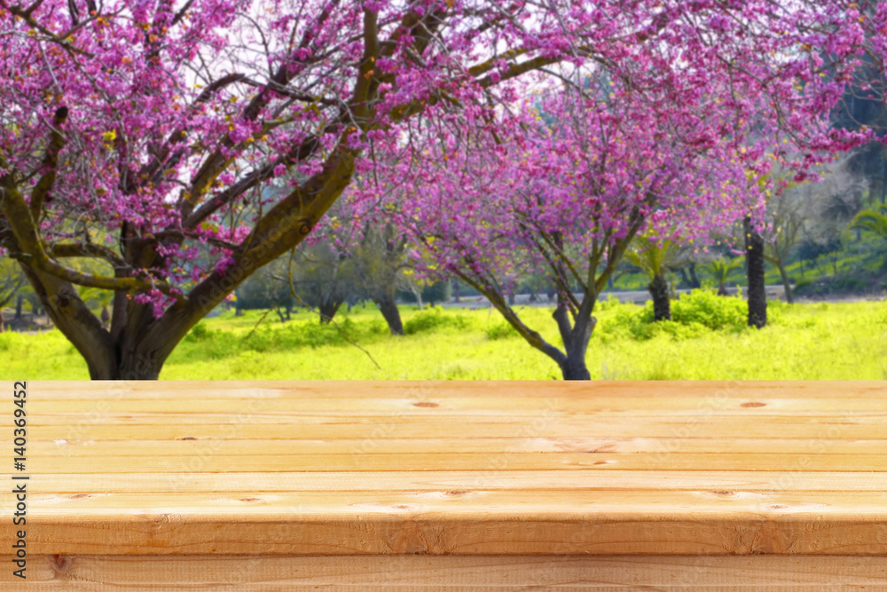 Naklejka premium wooden table in front of spring cherry tree