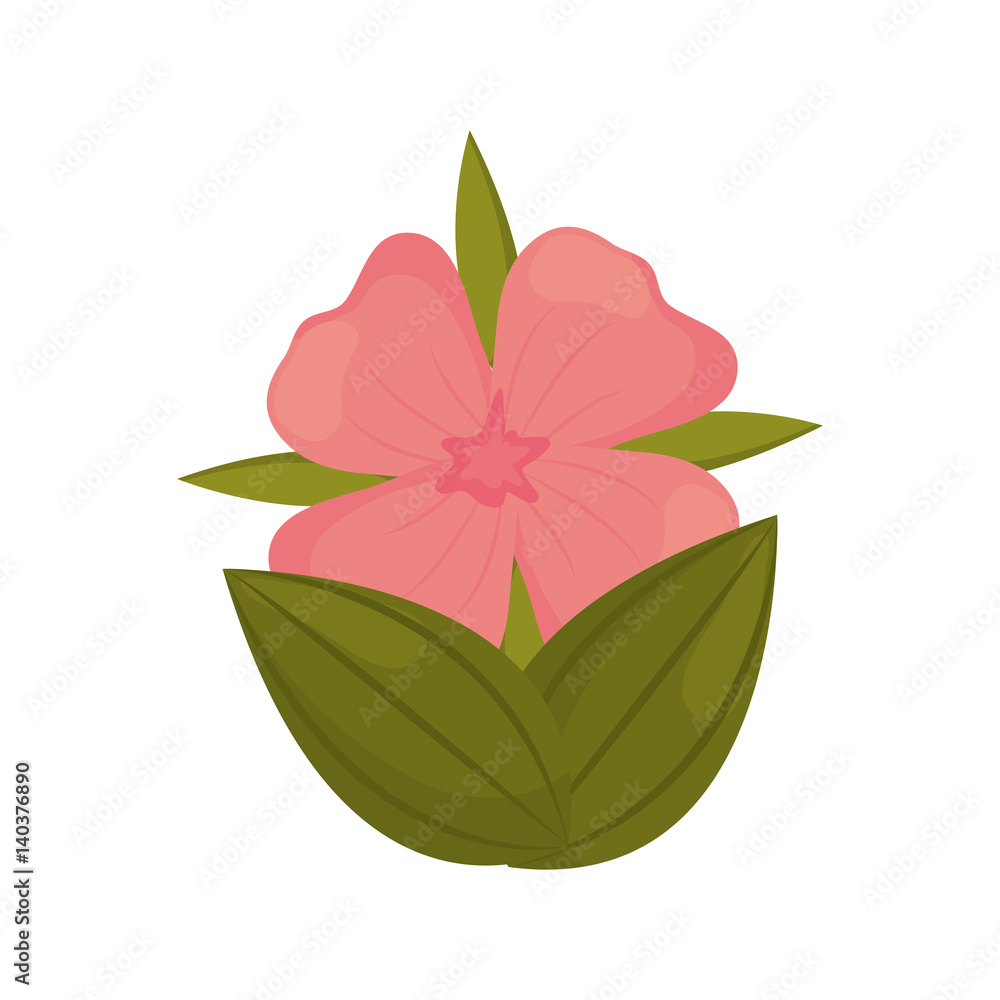 geranium flower bud with leaves vector illustration eps 10 geranium flower bud with leaves vector illustration eps 10