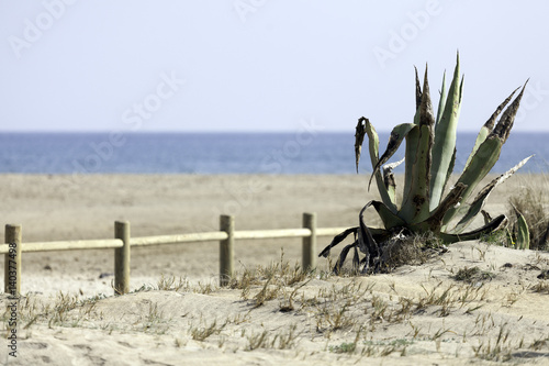 Nature reserve of the end of Gata-Nijar, Alería, Andalusia. Spain