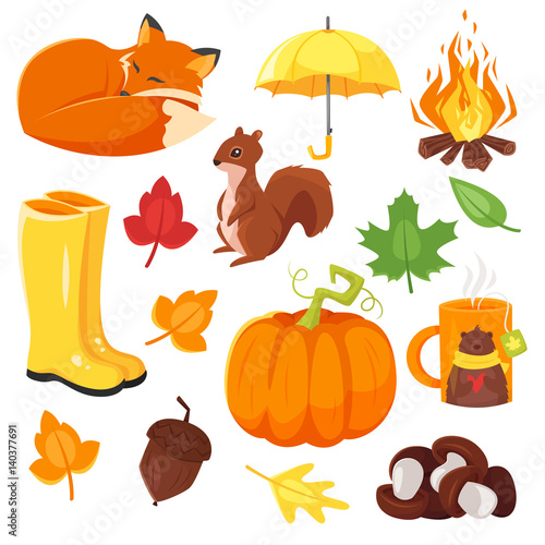 Vector cartoon style set of autumn symbols: fox, pumpkin, yellow boots