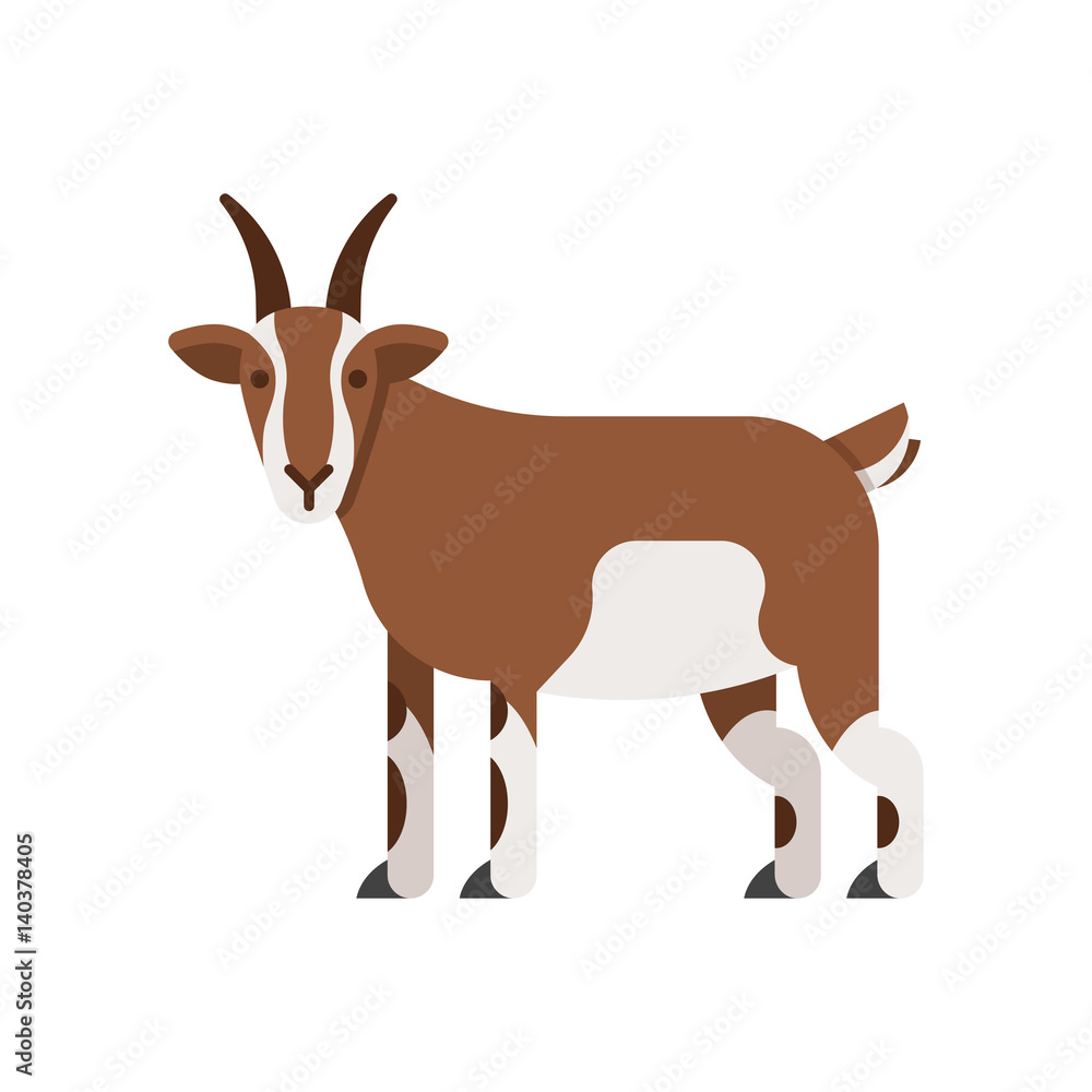 Vector flat style illustration of goat. Vector flat style illustration of goat.