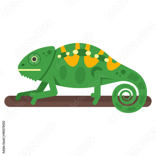 Vector flat style illustration of chameleon.