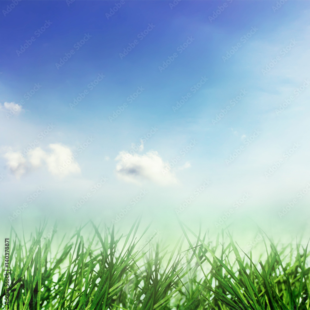 Spring growth of nature, blue sky and grass