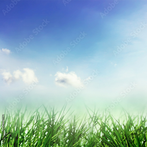 Spring growth of nature, blue sky and grass