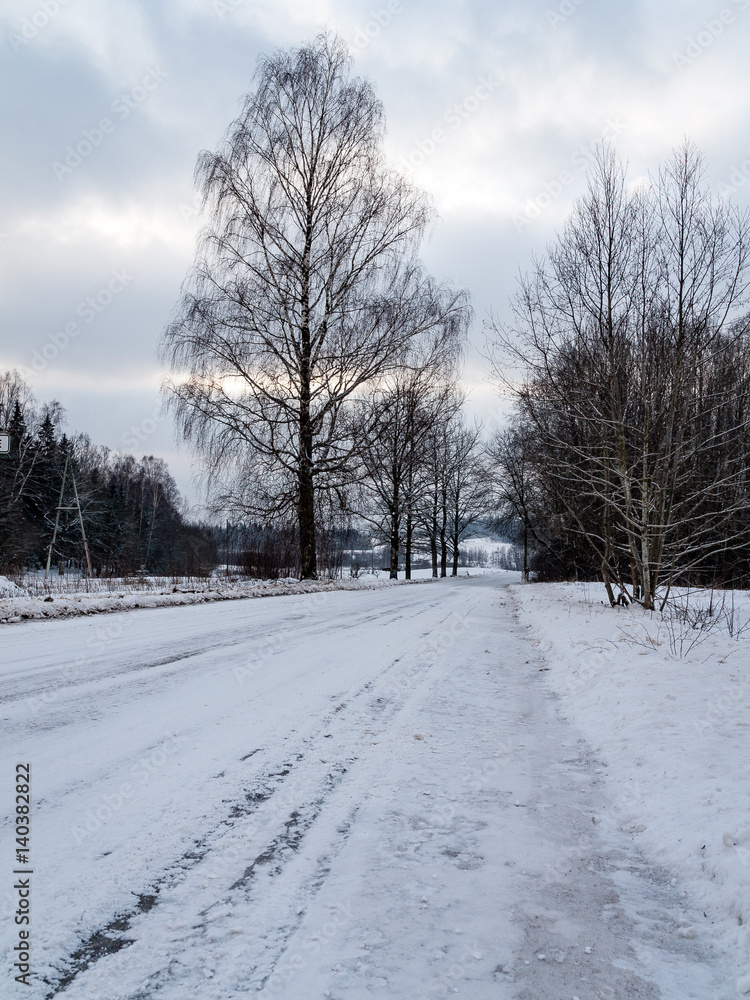 Fototapeta premium frozen countryside scene in winter