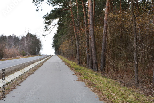 droga asfaltowa wzdłuż lasu 