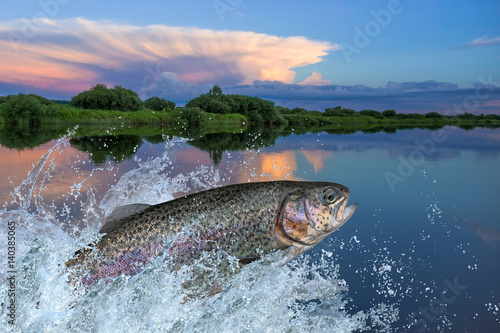 Photography Trout fish jumping with splashing