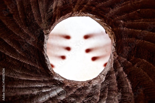 inside djembe drum photo