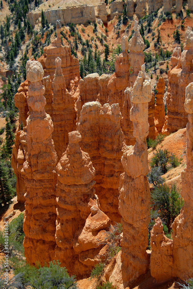 hoodoos rising tall in Bryce Canyon national park hoodoos rising tall in Bryce Canyon national park