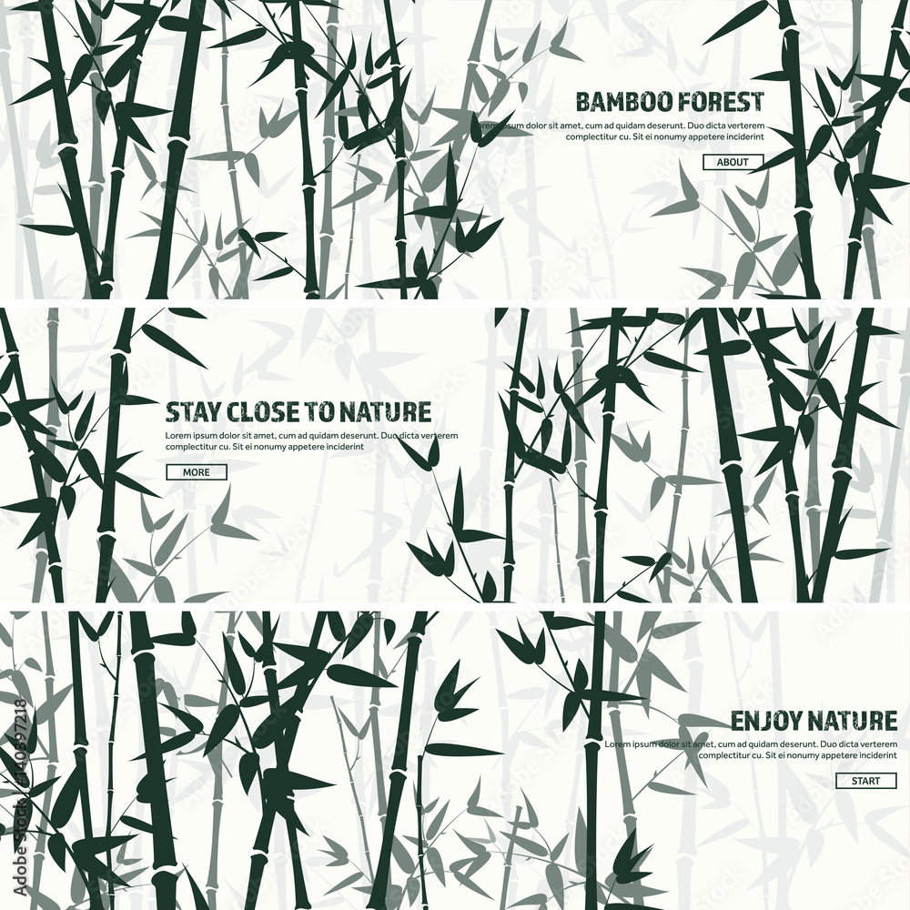 Bamboo forest set. Nature. Japan., China. Plant. Green tree with leaves. Rainforest in Asia. Bamboo forest set. Nature. Japan., China. Plant. Green tree with leaves. Rainforest in Asia.