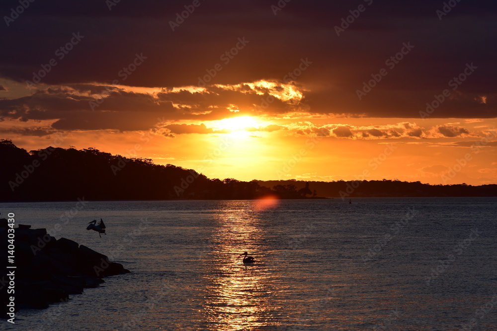 Quiet sunset in Nelson Bay with Australian pelican resting on calm water and taking off. Quiet sunset in Nelson Bay with Australian pelican resting on calm water and taking off.