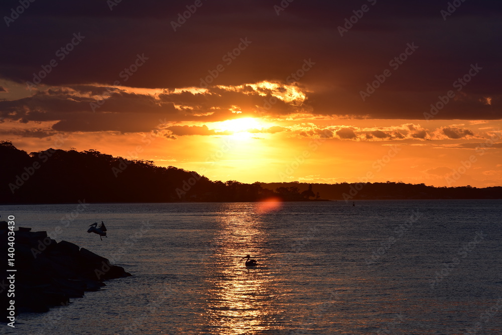 Quiet sunset in Nelson Bay with Australian pelican resting on calm water and taking off.