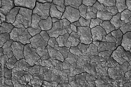 Cracked Dry Earth