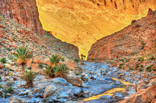Obraz na plátne Todgha Gorge, a canyon in the Atlas Mountains. Morocco