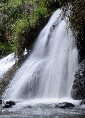 A Waterfall a wash with white against the deep greens of the surrounding vegetation and forest. 