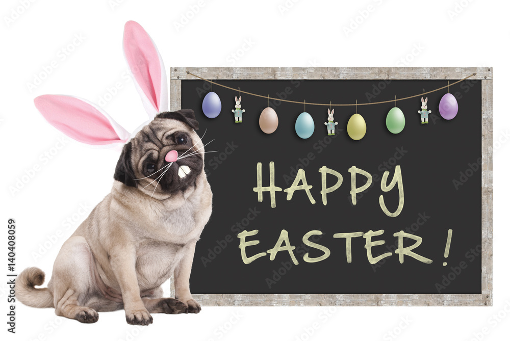 Φωτογραφία cute pug puppy dog with bunny ears diadem sitting next to chalkboard sign with t