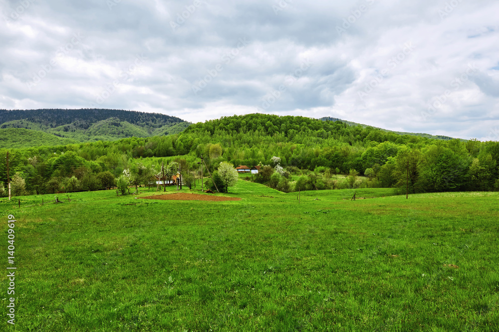 Obraz premium Small village in Carpathian mountains. Summer