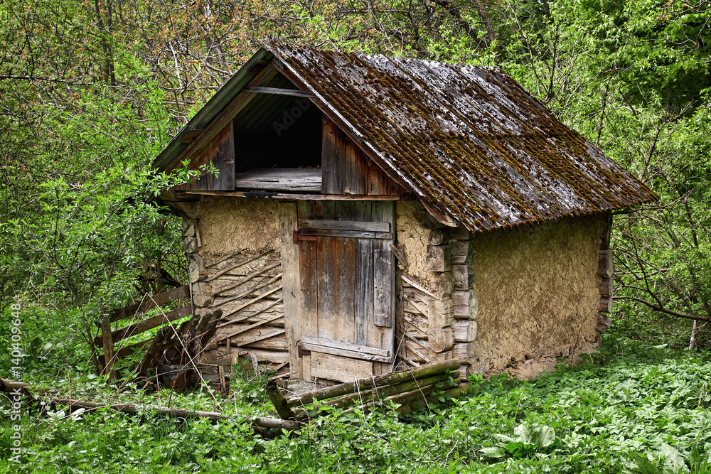 An old dugout in the green forest An old dugout in the green forest