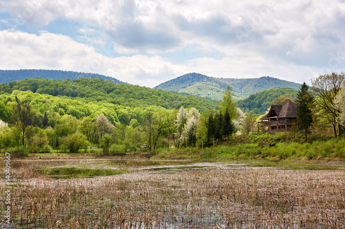 View of overgrown lake in Carpathian mountains © Yuriy_K