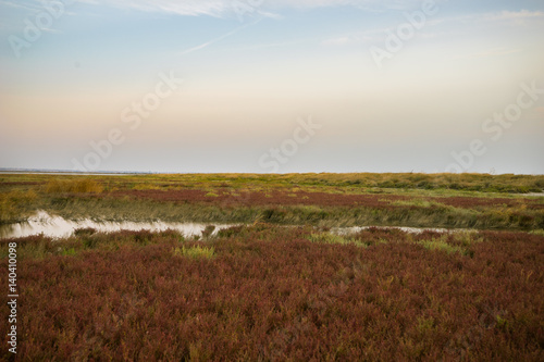 Part of the delta of river Evros  Greece