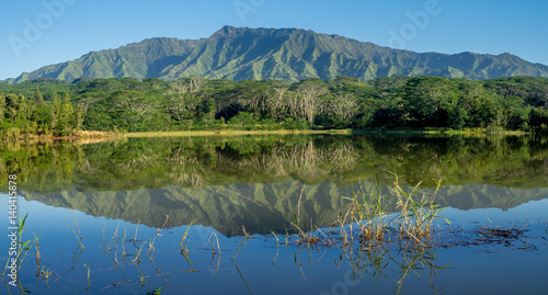 Wailua reservoir with the Makaleha Mountains in the background. 