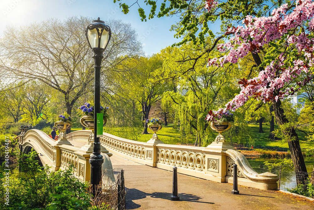 Fototapeta premium Bow bridge in Central park at spring sunny day, New York City
