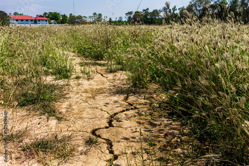 Cracked ground photo