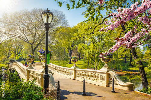 Obraz na plátne Bow bridge in Central park at spring sunny day, New York City