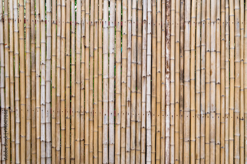 Bamboo wall  Bamboo fence background.