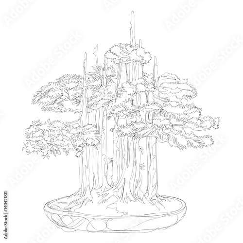 beautiful bonsai traditional line art continuous line vector drawing