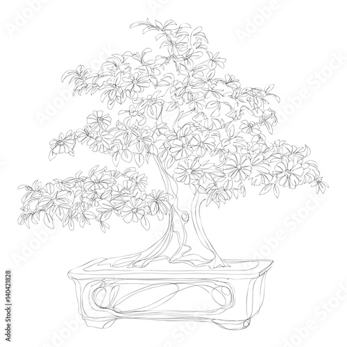beautiful bonsai traditional line art continuous line vector drawing