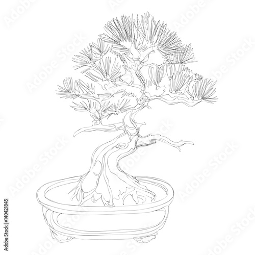 beautiful bonsai traditional line art continuous line vector drawing