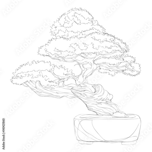 beautiful bonsai traditional line art continuous line vector drawing