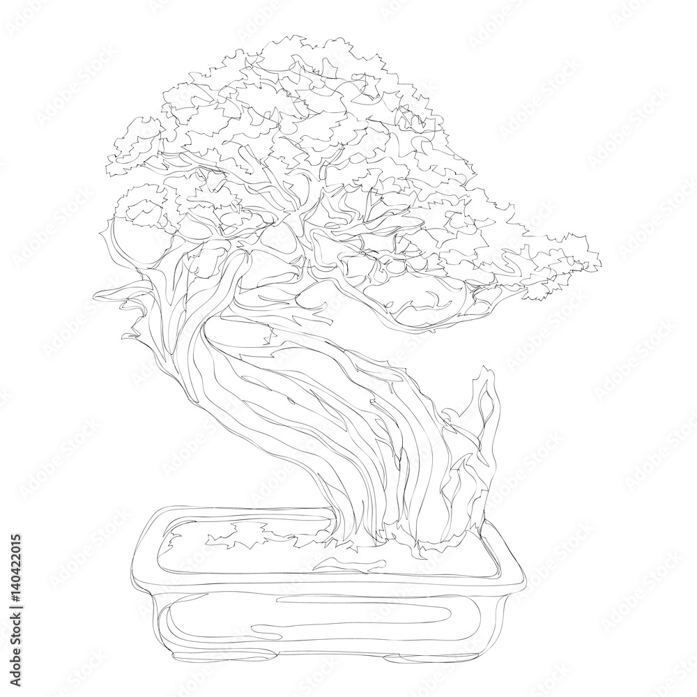 Fototapeta beautiful bonsai traditional line art continuous line vector drawing