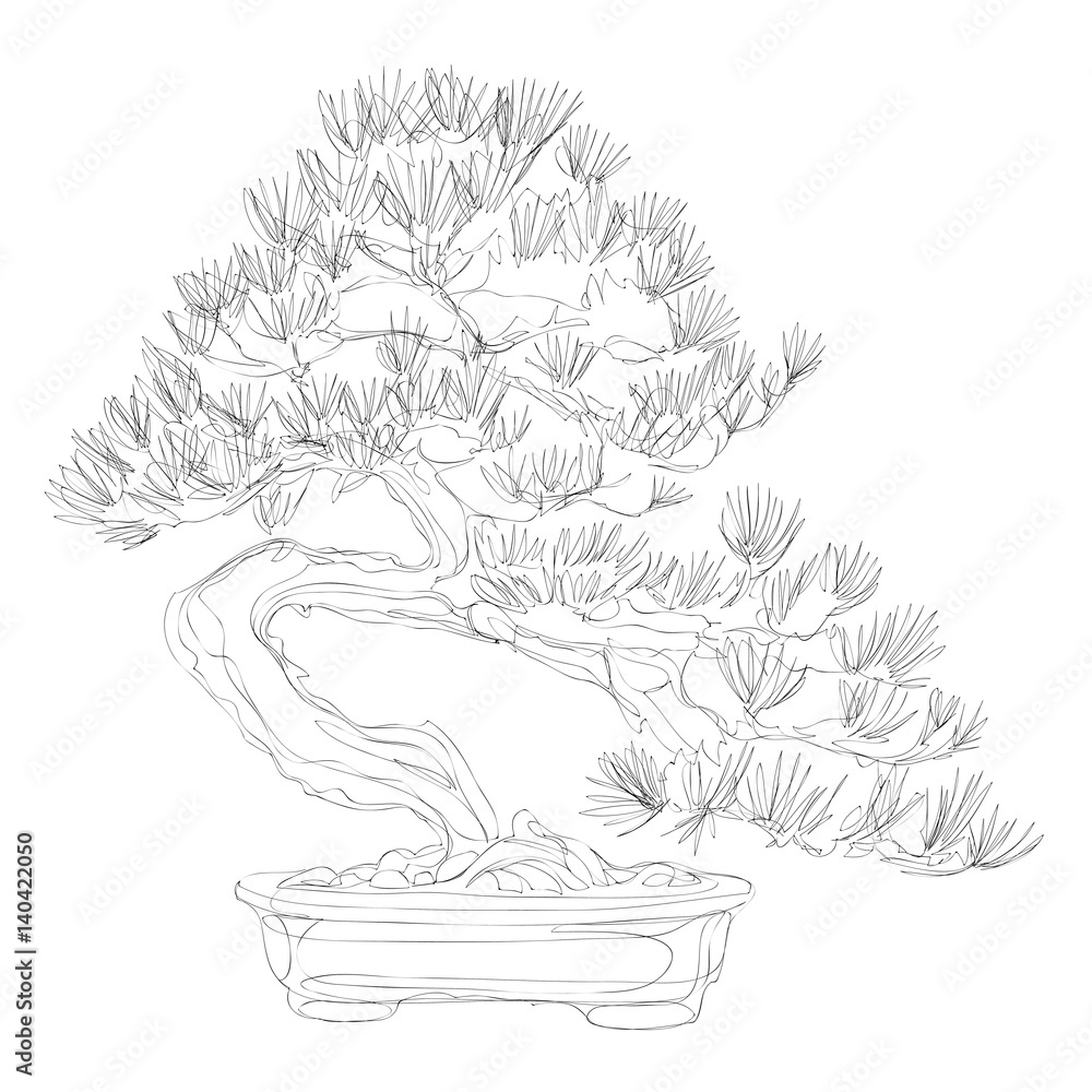 Fototapeta beautiful bonsai traditional line art continuous line vector drawing