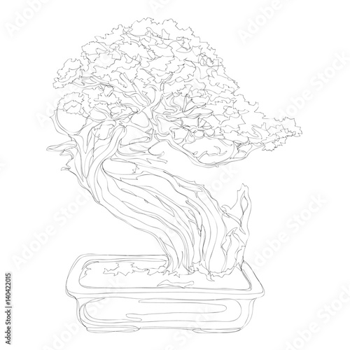 beautiful bonsai traditional line art continuous line vector drawing