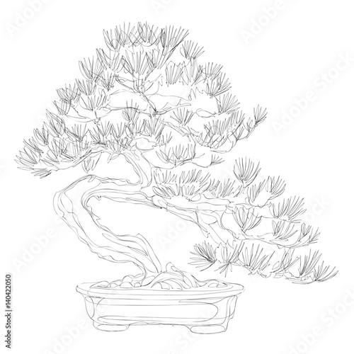 beautiful bonsai traditional line art continuous line vector drawing
