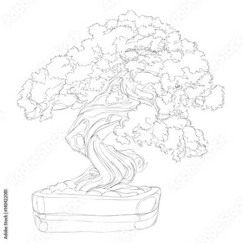 beautiful bonsai traditional line art continuous line vector drawing