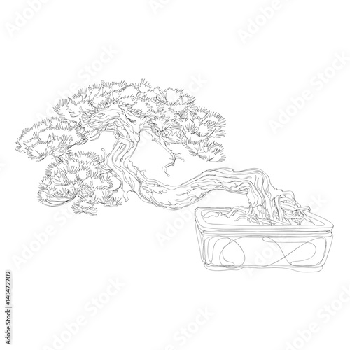 beautiful bonsai traditional line art continuous line vector drawing