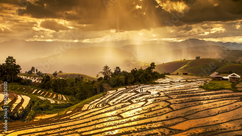 Εκτύπωση καμβά the rice fields on terraced in north Thailand, Mae jam, Chiang Mai, Thailand