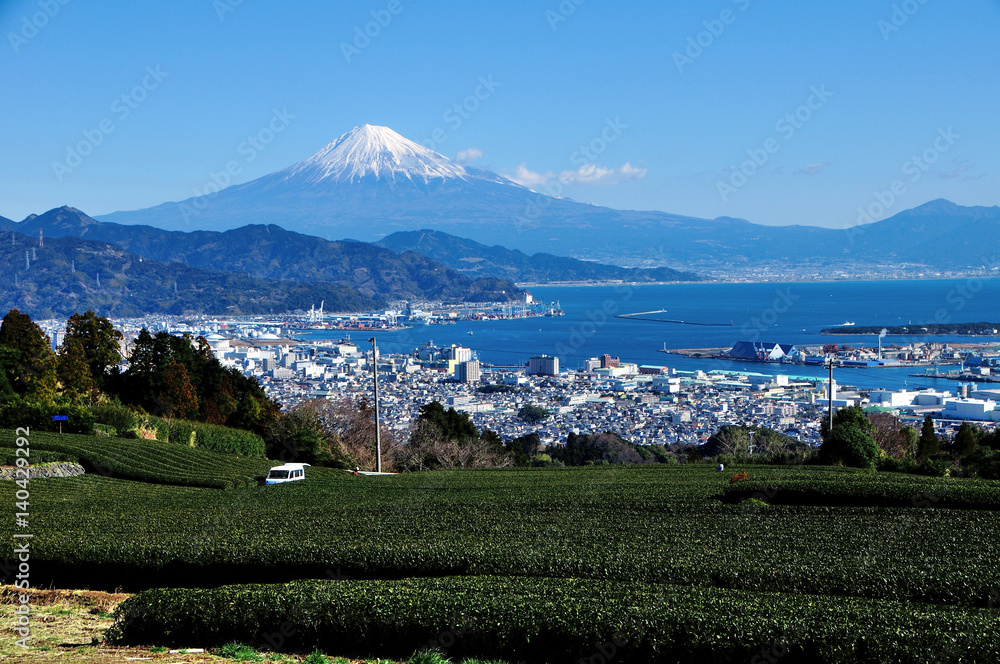 Fototapeta premium Pola herbaty i Mt Fuji z Nippei, Shizuoka City