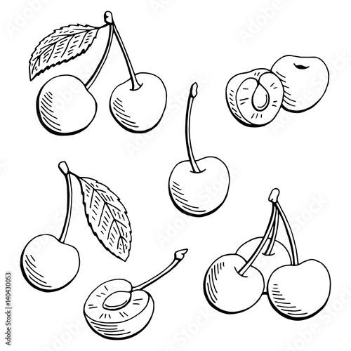 Cherry graphic black white isolated sketch illustration vector