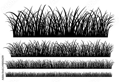 Silhouette of Grass