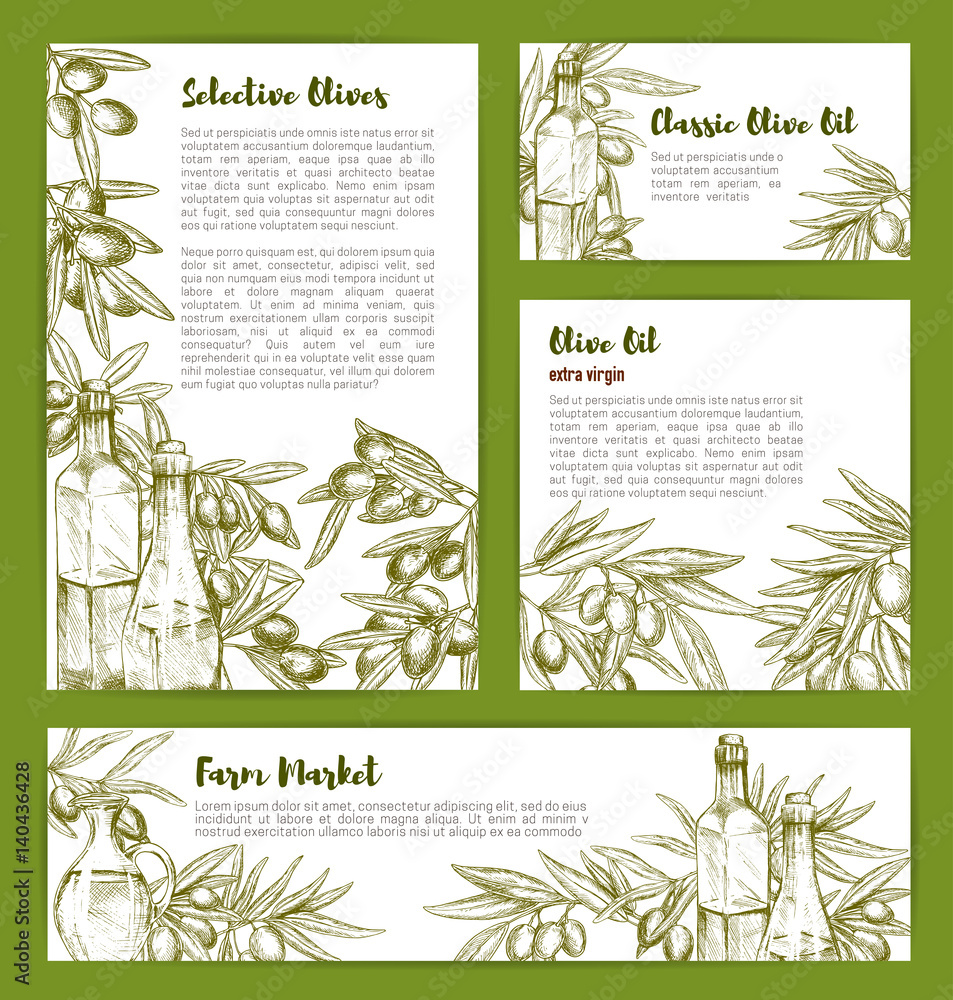 Olive oil vector product poster sketch templates