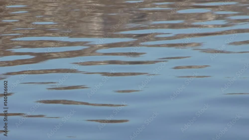 水面の揺らぎ 水面の揺らぎ
