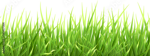 Super realistic, detailed fresh green vector grass. Seamless isolated plant stems for front plan nature illustration. Gradient mesh tool.