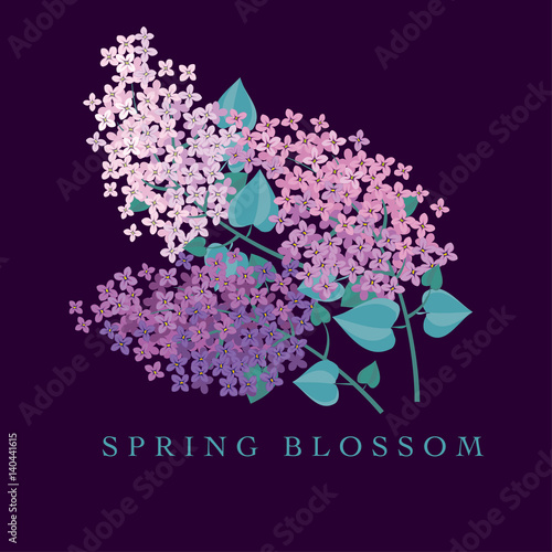 Lilac spring blossom vector...