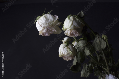 Dried bouquet of roses on a dark background