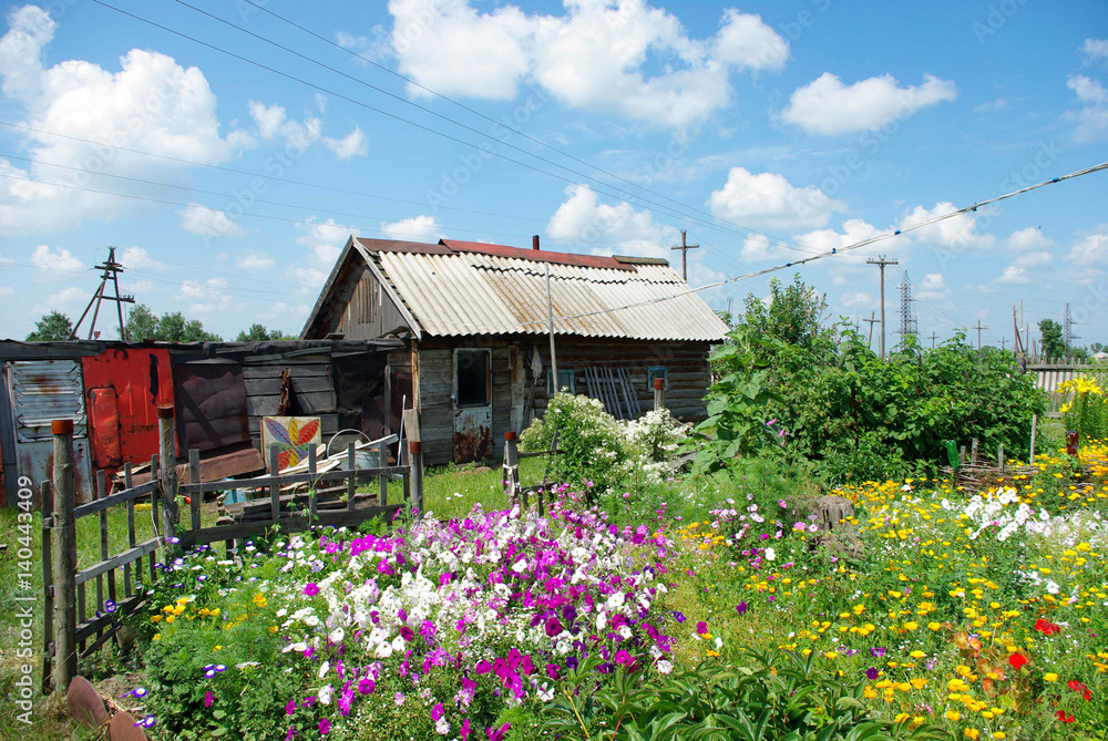 In the village In the village